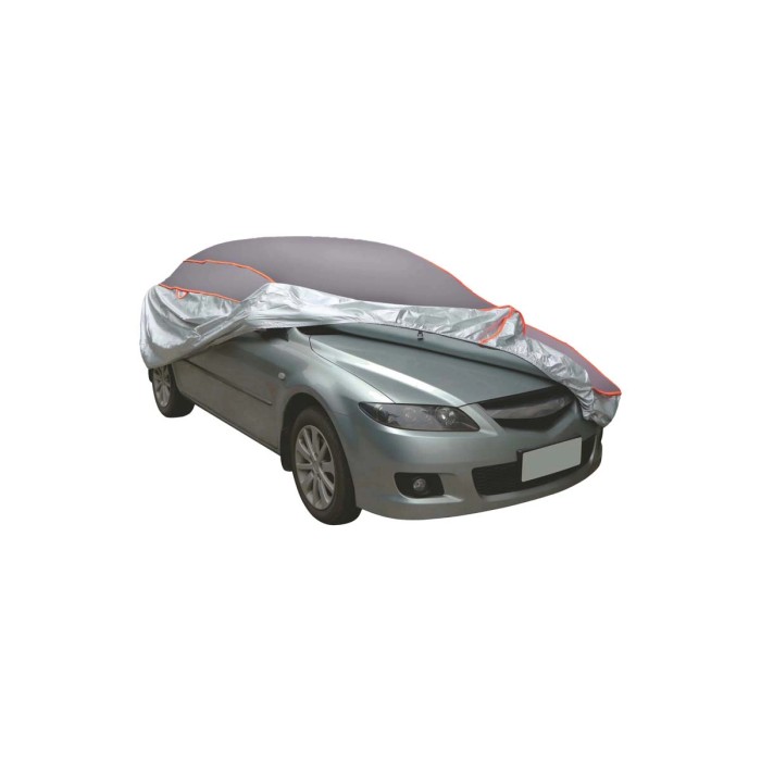 Auto coperta con telo antigelo grigio e argento.