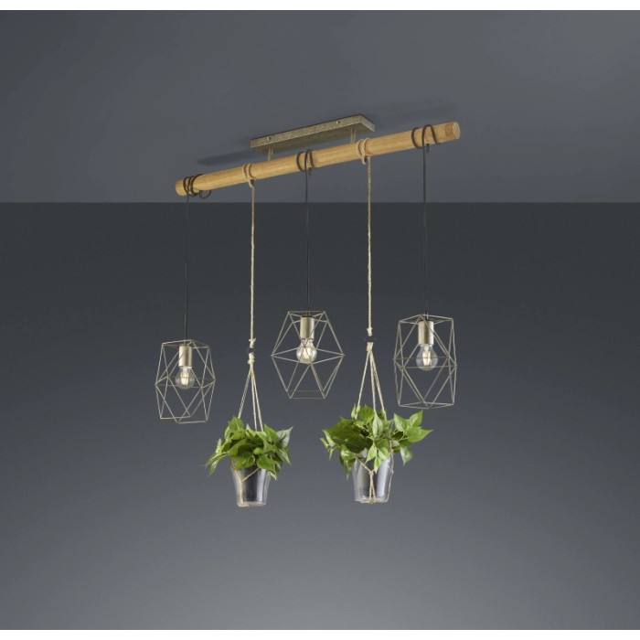 Lampada a sospensione moderna con piante, Sospensioni. Illuminazione decorativa per spazi abitativi.