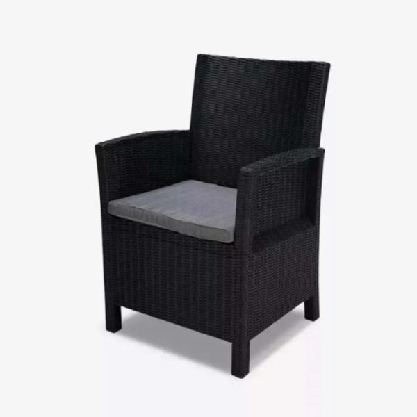 Poltrona da giardino t.b.t. nera con cuscino grigio.