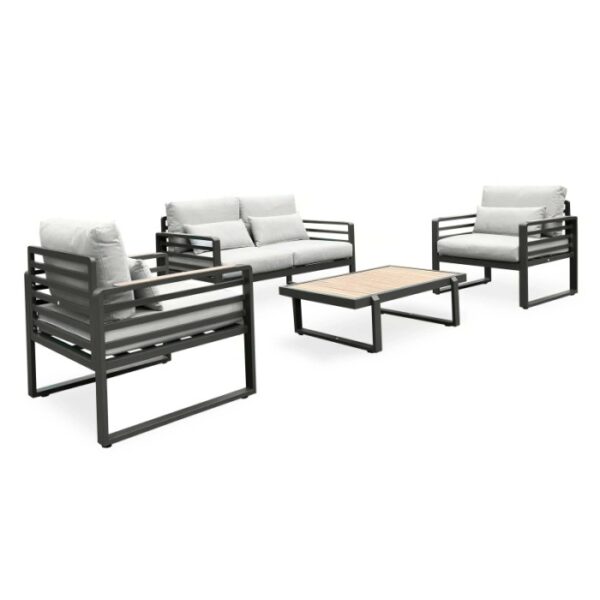 Set di mobili da giardino moderni con divano, poltrone e tavolo. Ideale per terrazza e giardino.