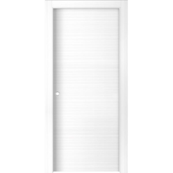 Porta interna bianca, superficie liscia. Porta semplice per interni.