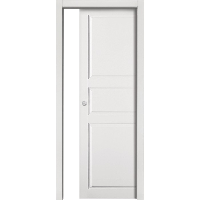 Porta interna bianca con telaio e pannelli. Porta per interni.