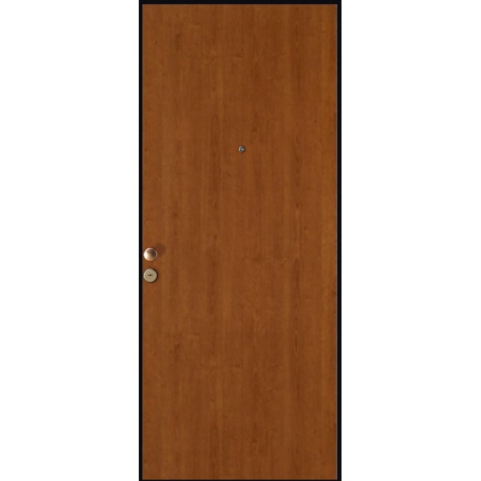 Porta blindata t.b.t. effetto legno con spioncino e maniglia.
