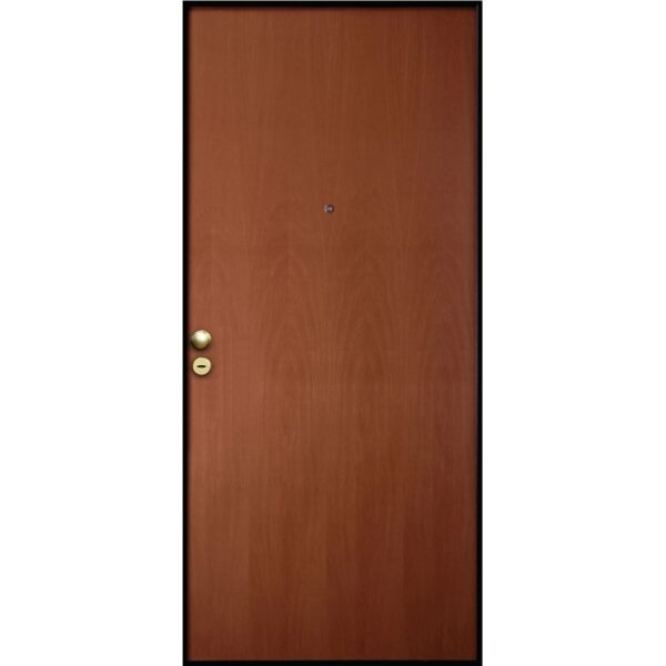 Porta blindata marrone (t.b.t.) con spioncino e maniglia dorata.