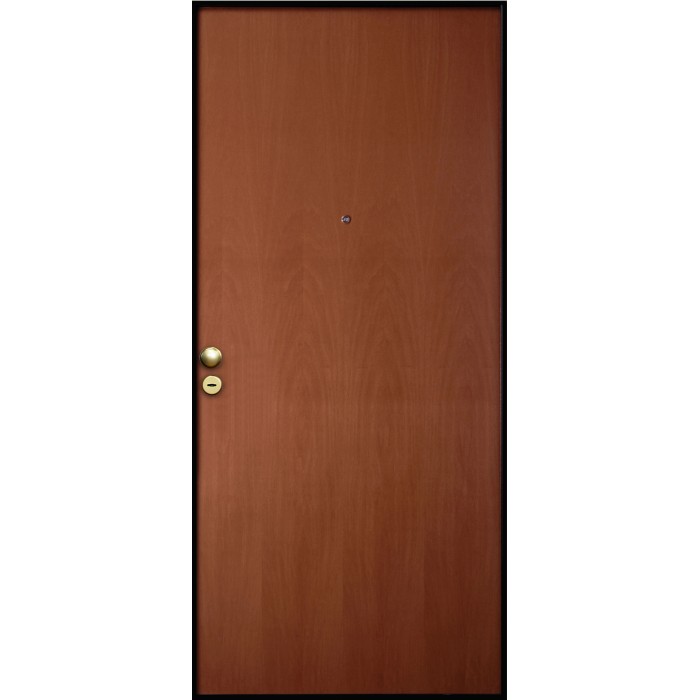 Porta blindata marrone (t.b.t.) con spioncino e maniglia dorata.