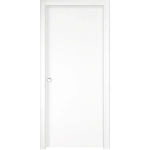 Porta interna bianca con design semplice e maniglia argentata.