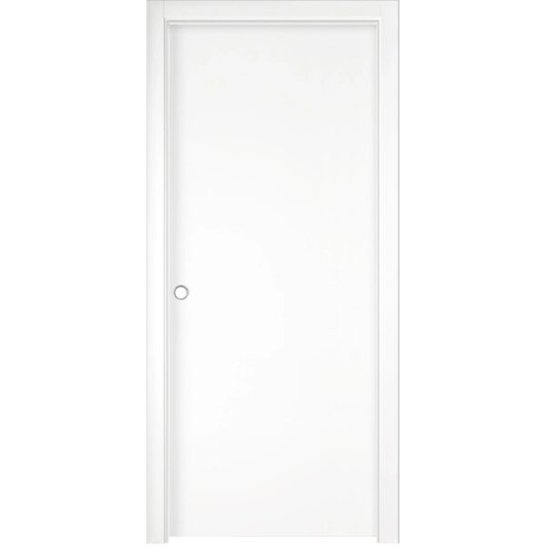 Porta interna bianca con design semplice e maniglia argentata.