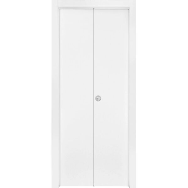 Porta interna bianca t.b.t. con serratura centrale, ideale per ambienti moderni.