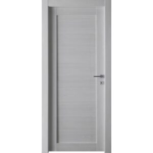 Porta interna bianca con design semplice e maniglia argentata.