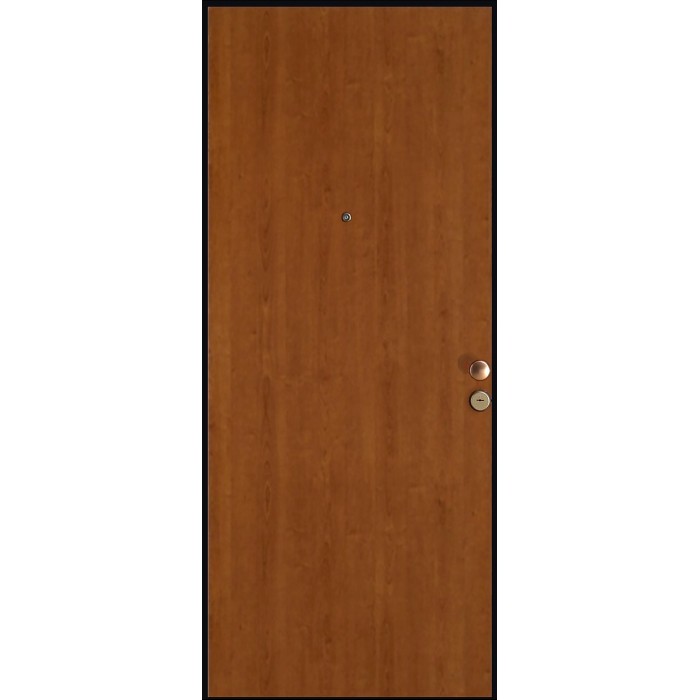 Porta blindata t.b.t. marrone con spioncino e maniglia.