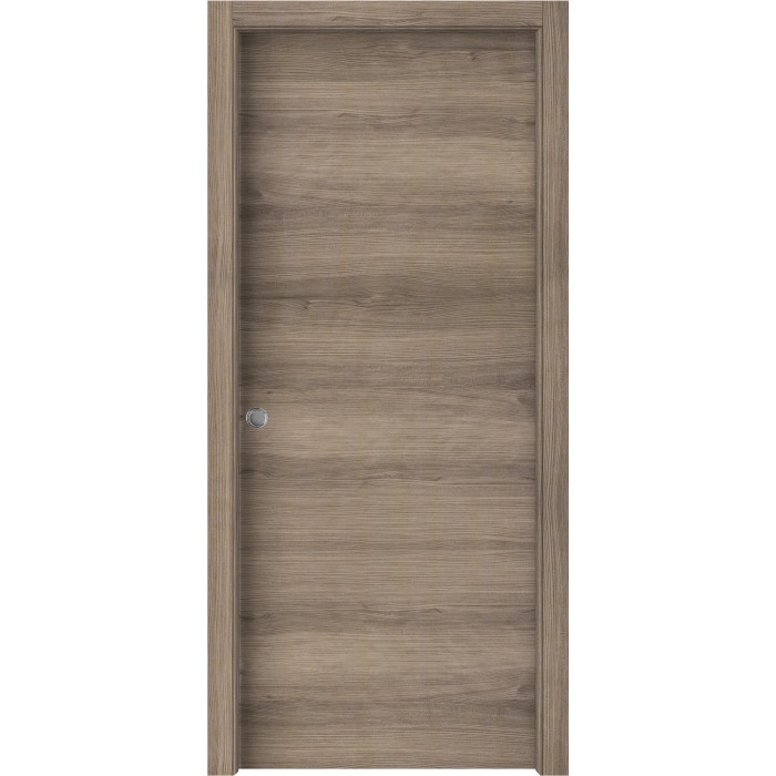 Porta interna color legno con superficie liscia e maniglia color argento.
