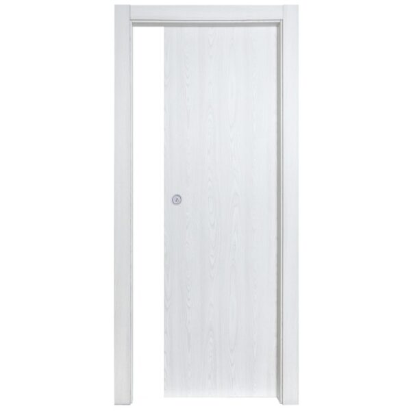 Porta interna bianca con design semplice e pomello argentato.