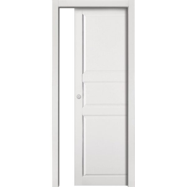 Porta interna bianca con telaio e pannelli. Porta per interni.