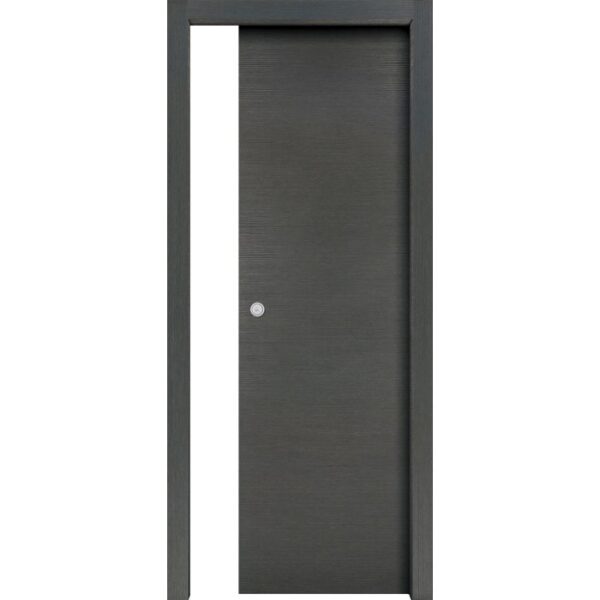 Porta interna grigia con telaio. Porta semplice per interni.