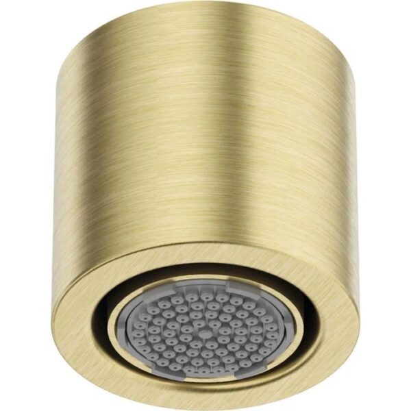 Soffione doccia fisso 1 funzione ø42 mm Limonar oro spazzolato