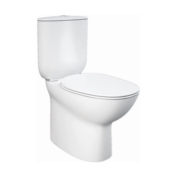 WC monoblocco t.b.t. bianco con cassetta chiusa e sedile ovale.